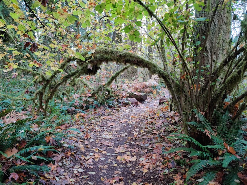 Path in Oxbow Park